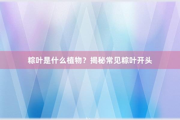 粽叶是什么植物？揭秘常见粽叶开头