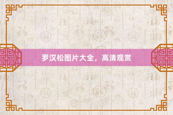 罗汉松图片大全,高清观赏