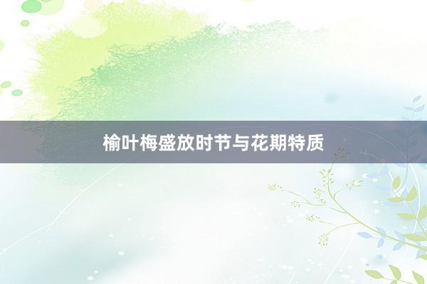 榆叶梅盛放时节与花期特质