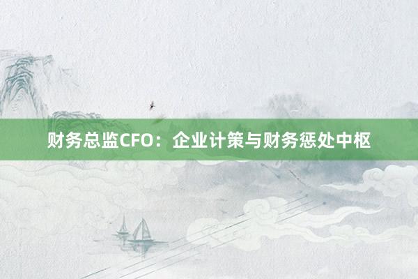 财务总监CFO：企业计策与财务惩处中枢