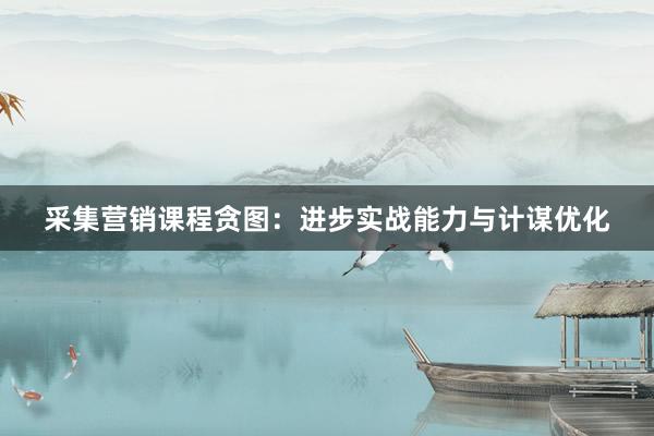 采集营销课程贪图：进步实战能力与计谋优化